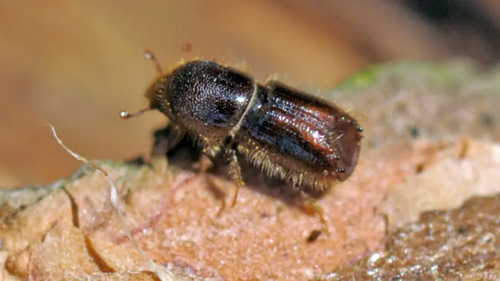 3cb9aac532f6fd4128d93ef4c7df56b2