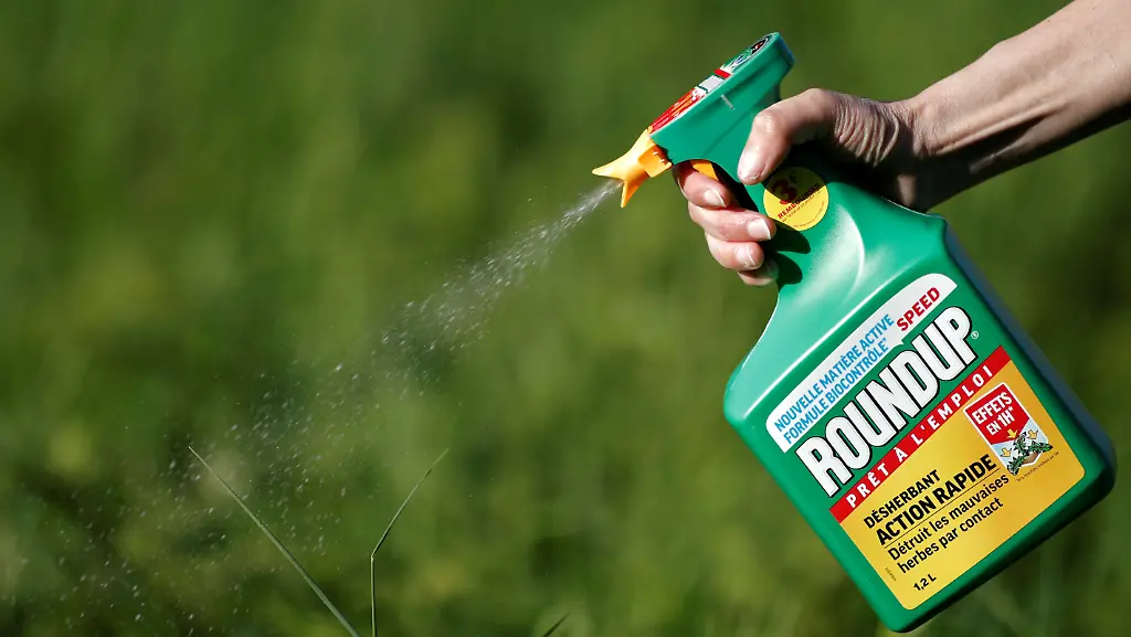 afe9b3344ba411ed23dc81657e365968