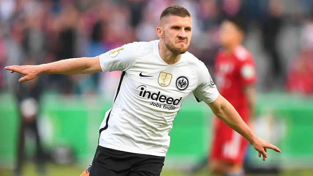 8842a5116569274eea45e2eef3adf1c6