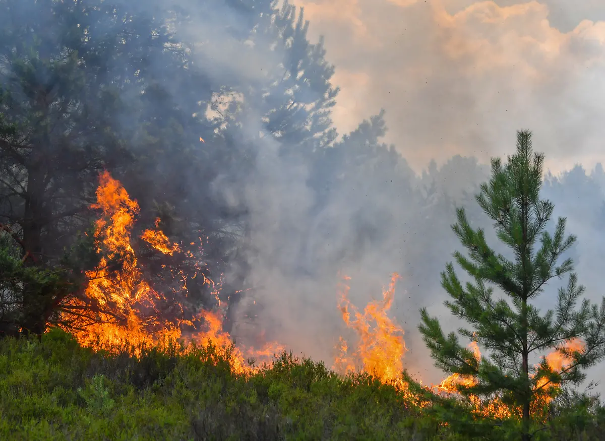 692dd51d42d4cd56ab0763a436375b87