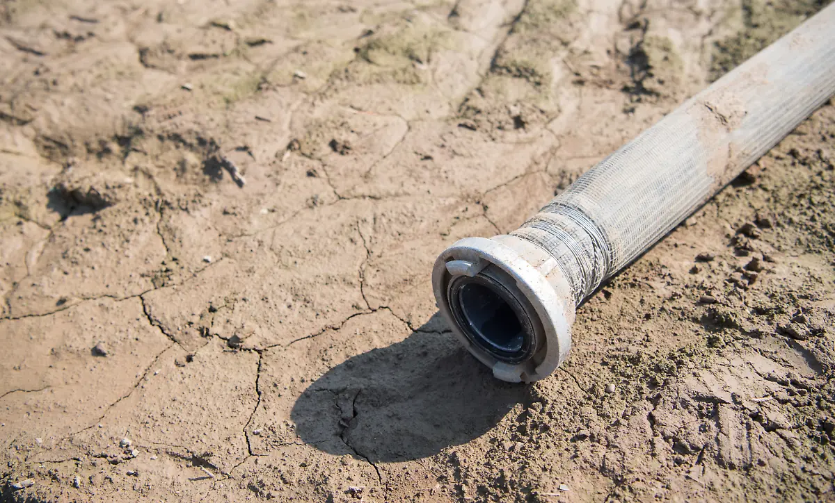 f8de0c03abc84a1a81288e31723a556c