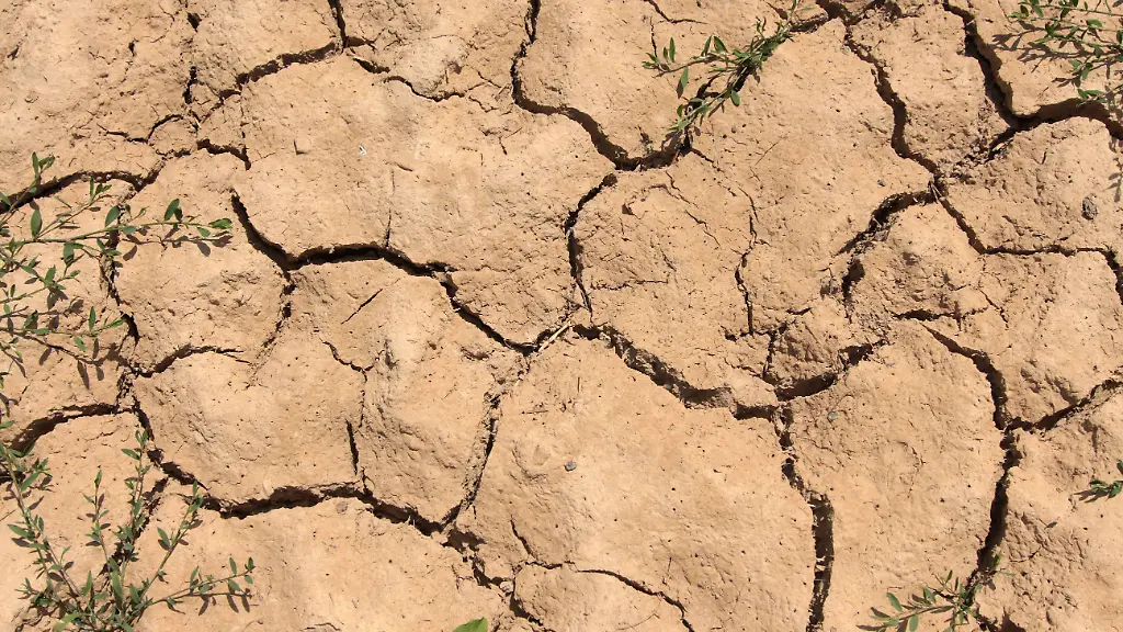 03ca86b87beba280ab9e01a3a2099281