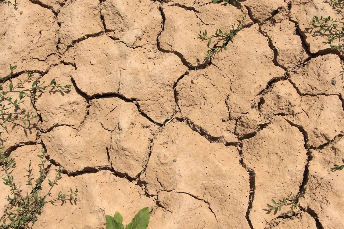 03ca86b87beba280ab9e01a3a2099281