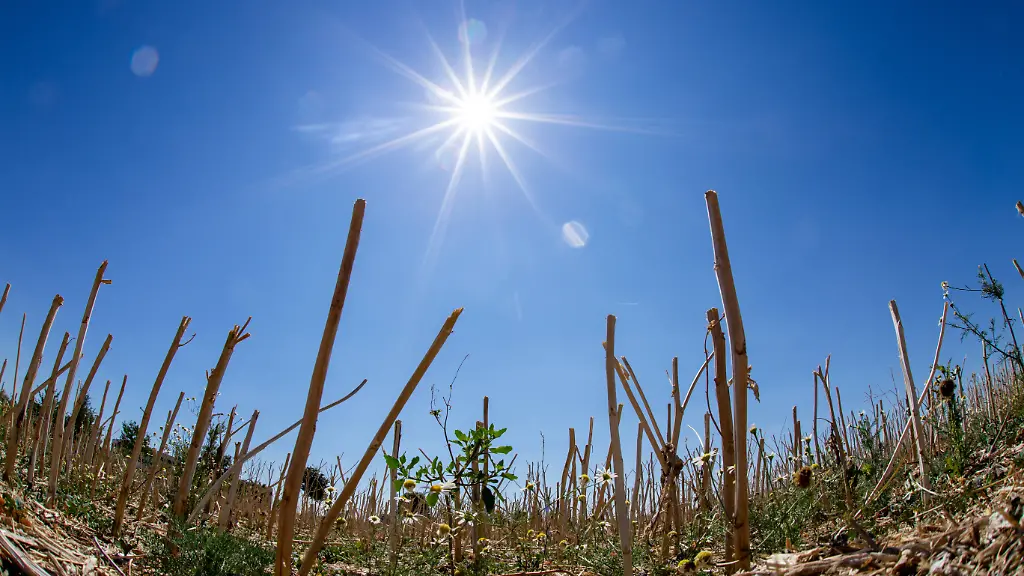 263cf8b027eb7b637ea4012ab4d84ed7