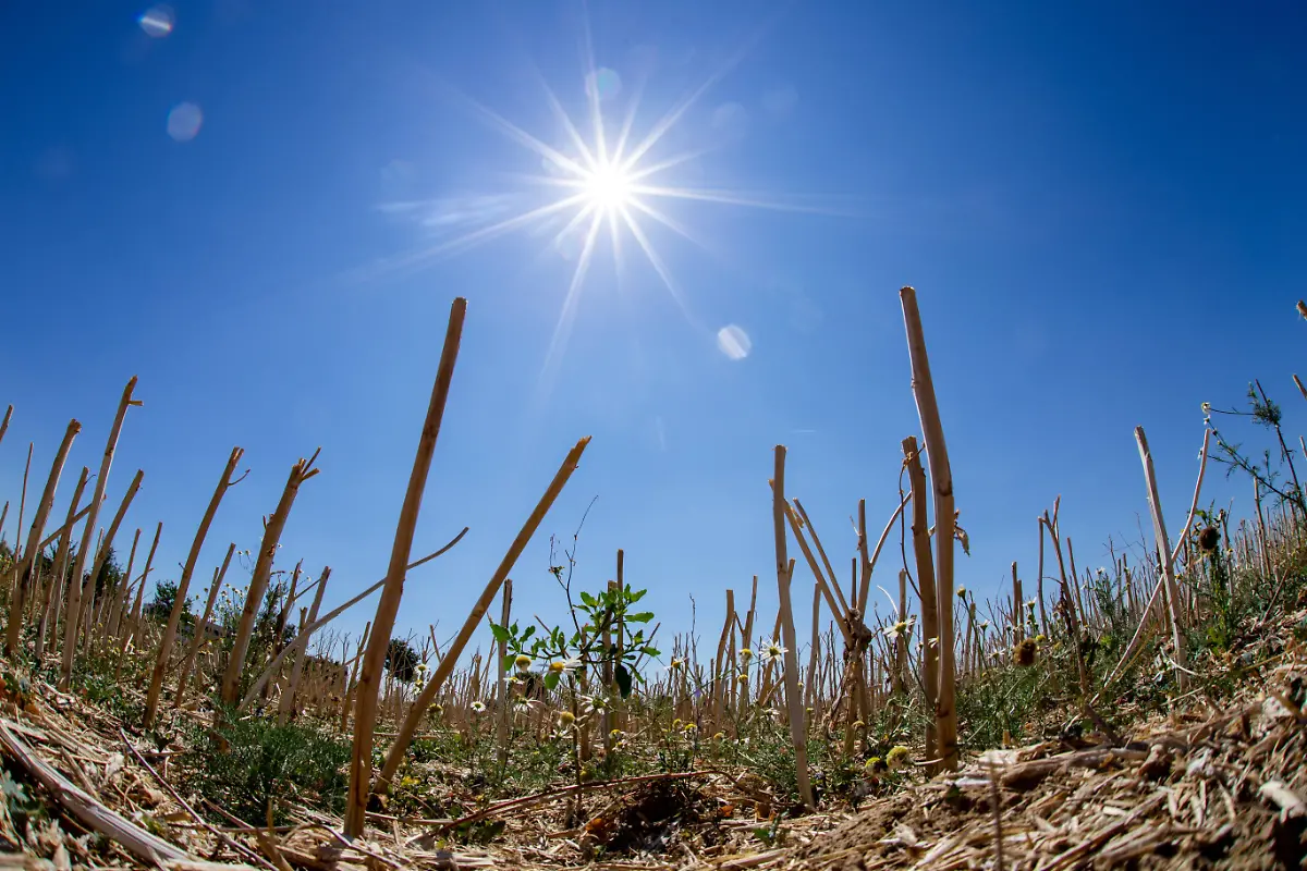 263cf8b027eb7b637ea4012ab4d84ed7