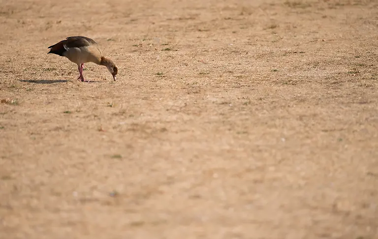 c83029517db4165507f6ed1d85a45368