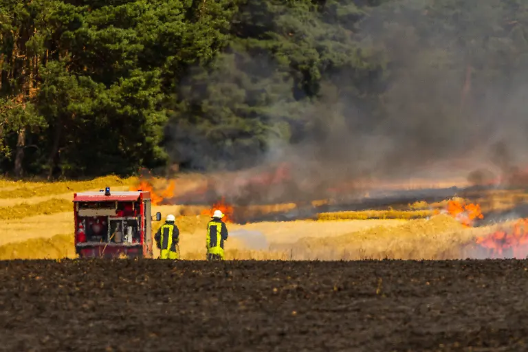 99981d476f046aee2937cb3e9802f92c