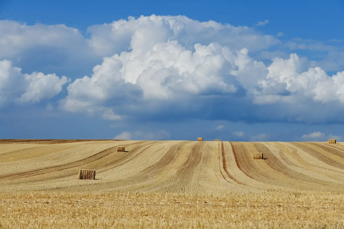 865e5dc6d92a6999a9826bdb64a0e649