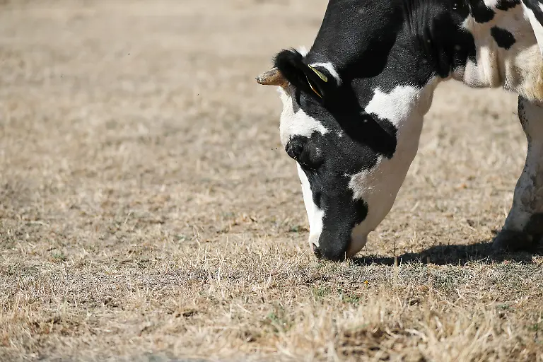 b980e6153c84ae26a52fa11f594817e1