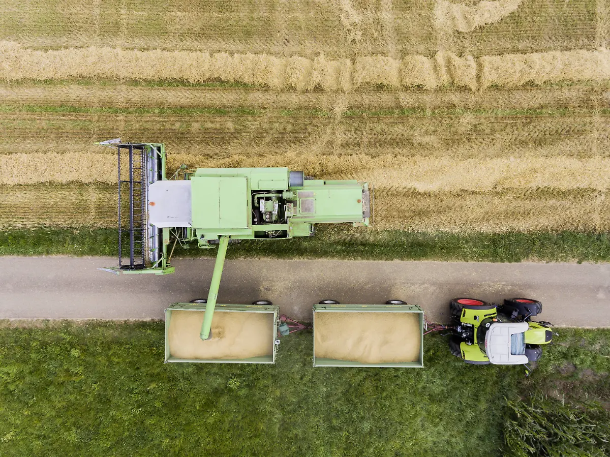 2e99c061aa8b8f2cfcad0fccefd5f5d5