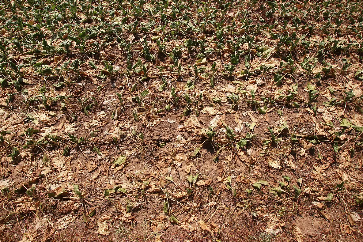 9f8b536f28d5e766bede404f45d49517