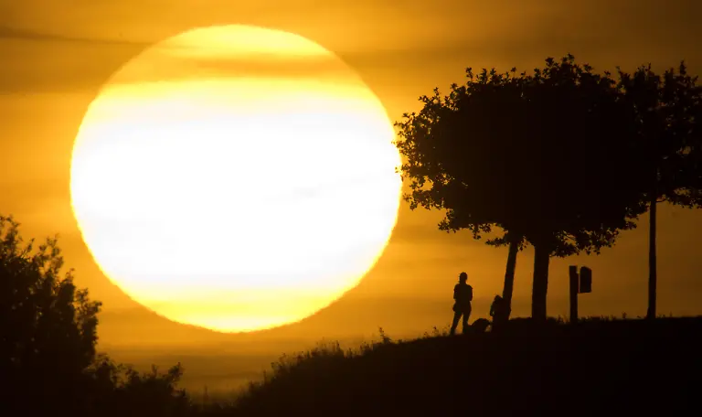 8e87762aae3cc7cbb2f3c25e750e15ca