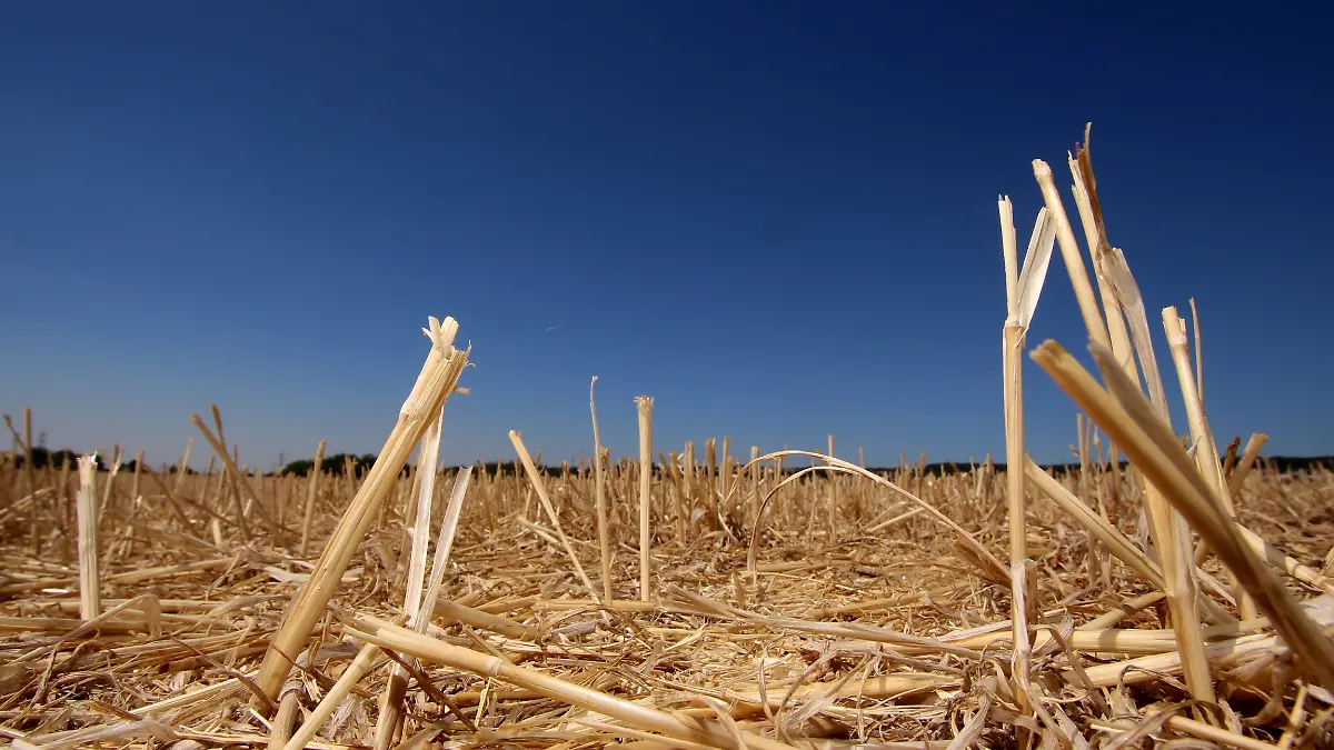 a9719815f35e6c0e8269d09437a085a3