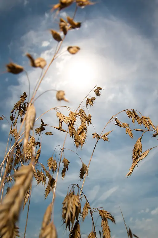 25d4868fca7756450ea2ecdc311f1657