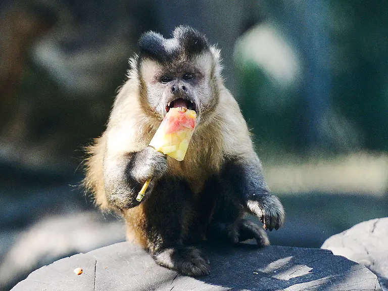 1509f75a9686f2b0a5851f8ecf555232