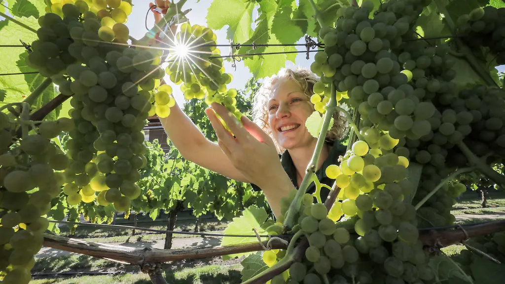 3a8f7e4823400d8519b54439d29376f9