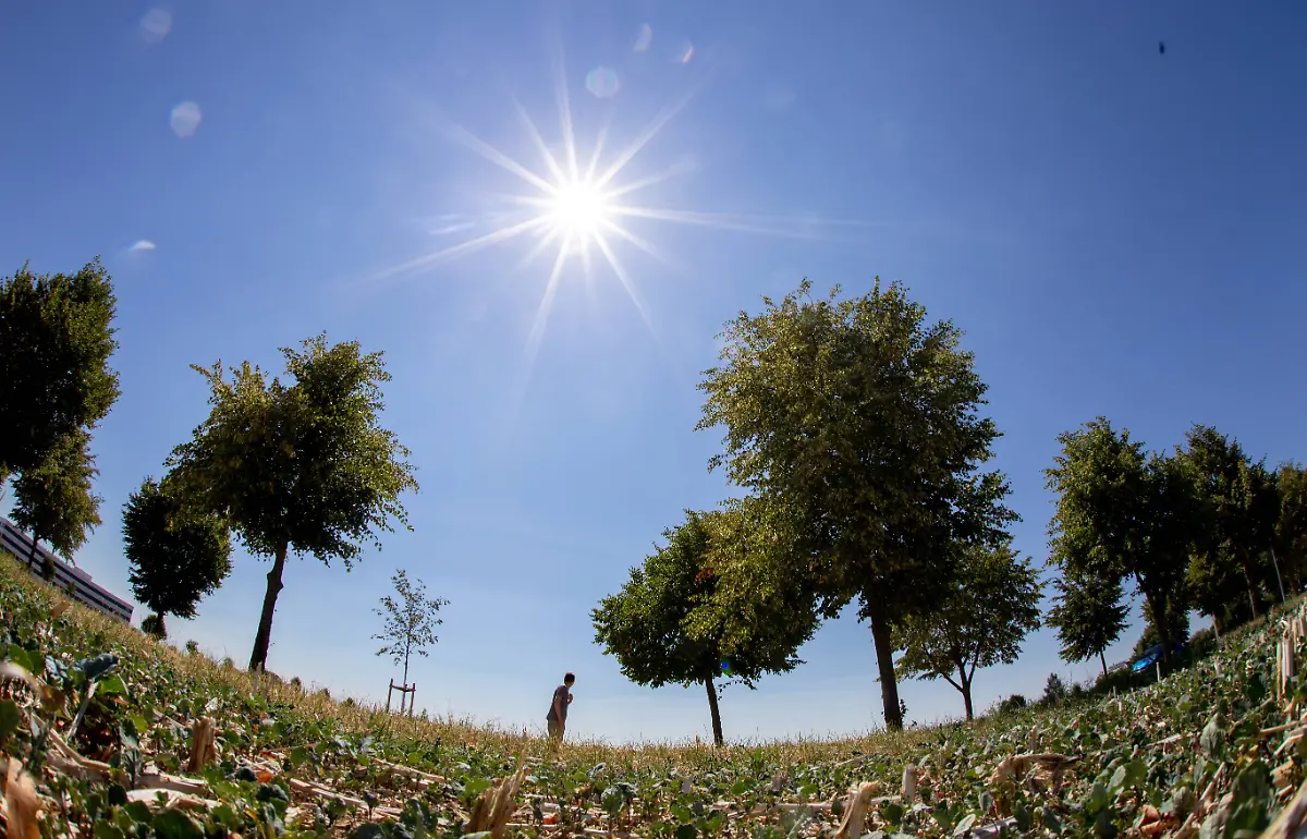 3bb432fece87bf56ee2d983cacaf2f62