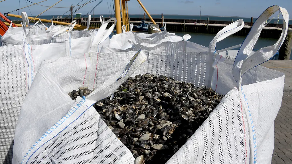 bec46fd52fb4e87c6ce727c63fb445b7