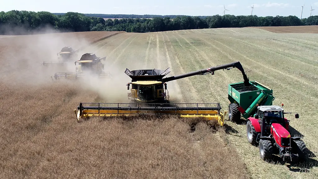 c7c3bf02530f99c677fcf9112fc1deb9