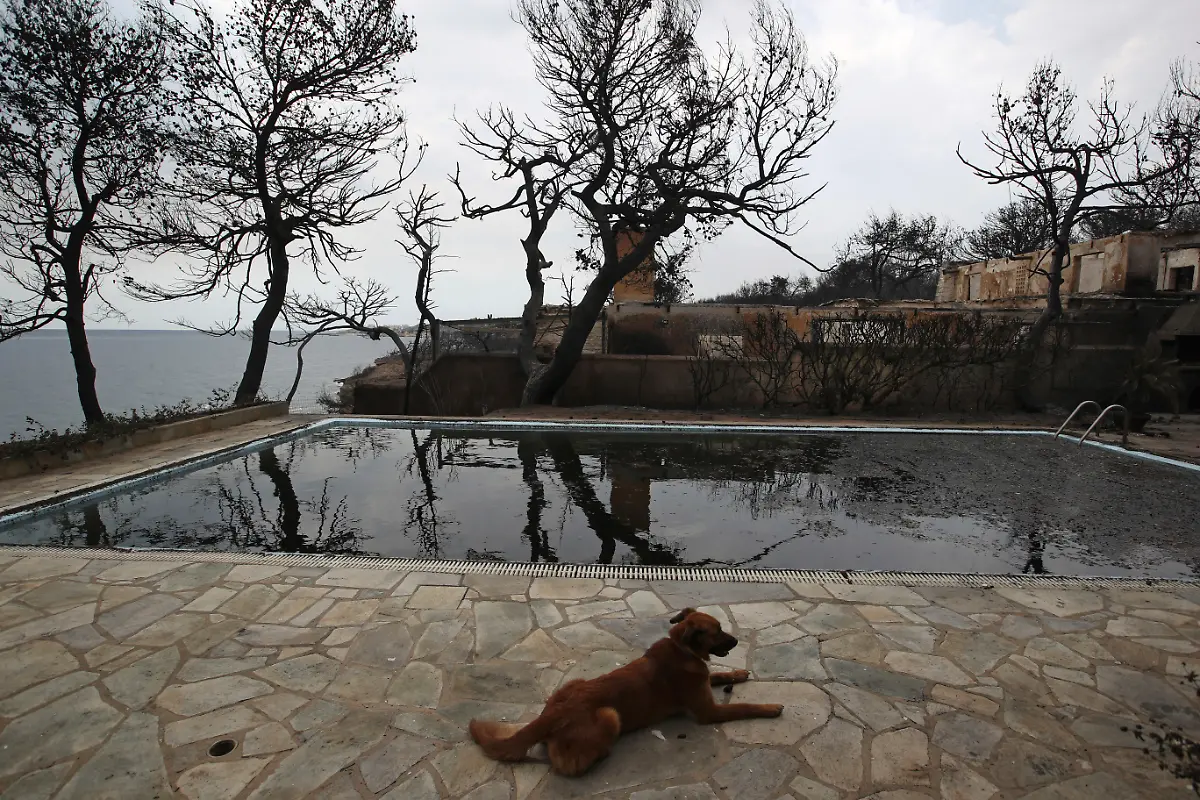 ef47b424a016127845e0bcf6502489f6