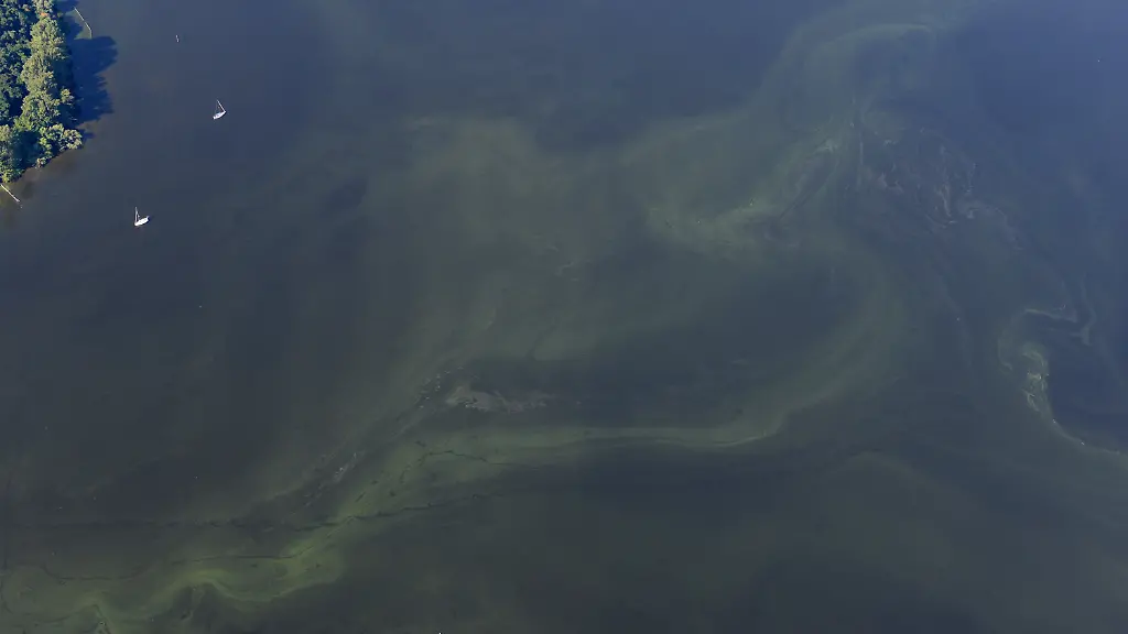 8f74a82c4528de681250044d42ef134f