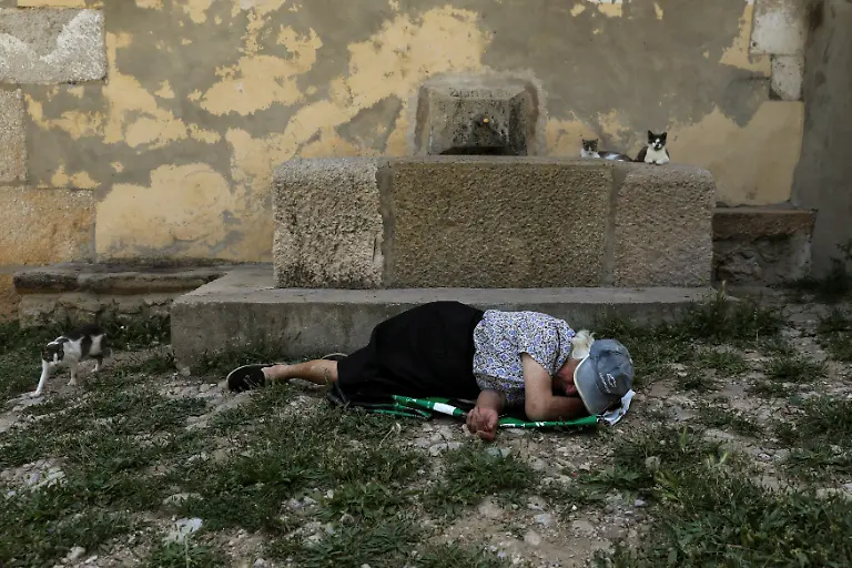 008ec815920f9f35da6b5aec7e44bf6d