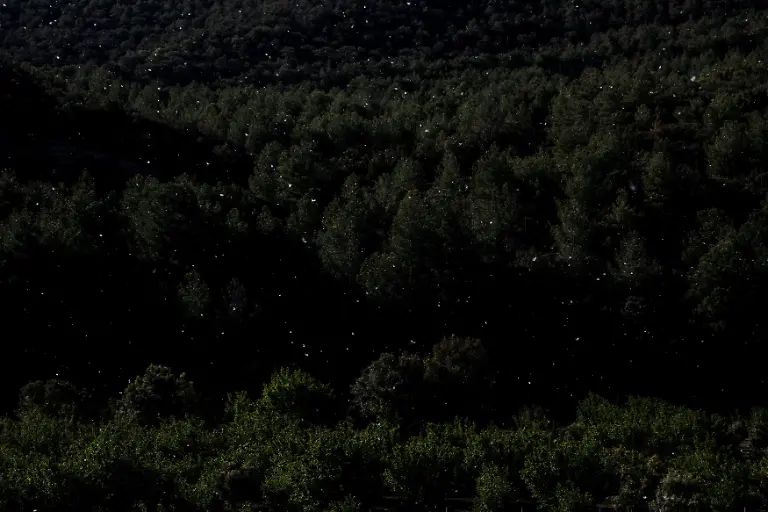 f352546a92262716734850af1906c510