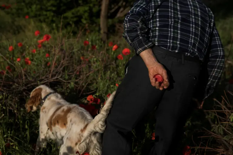 74e3c08dc34b05d8e11a188371d72244