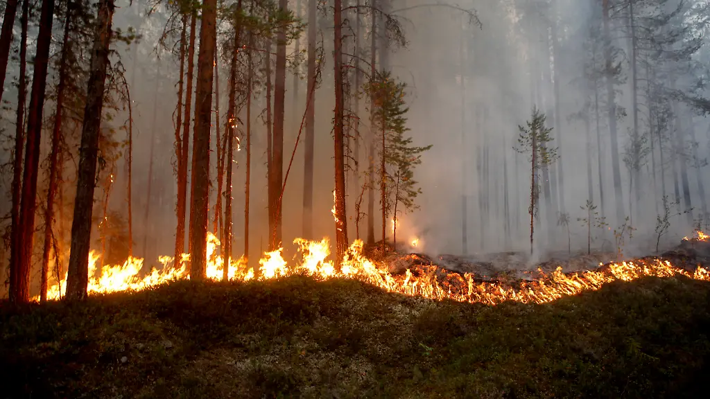 d0debad57095f463c5ac7128b2818c29