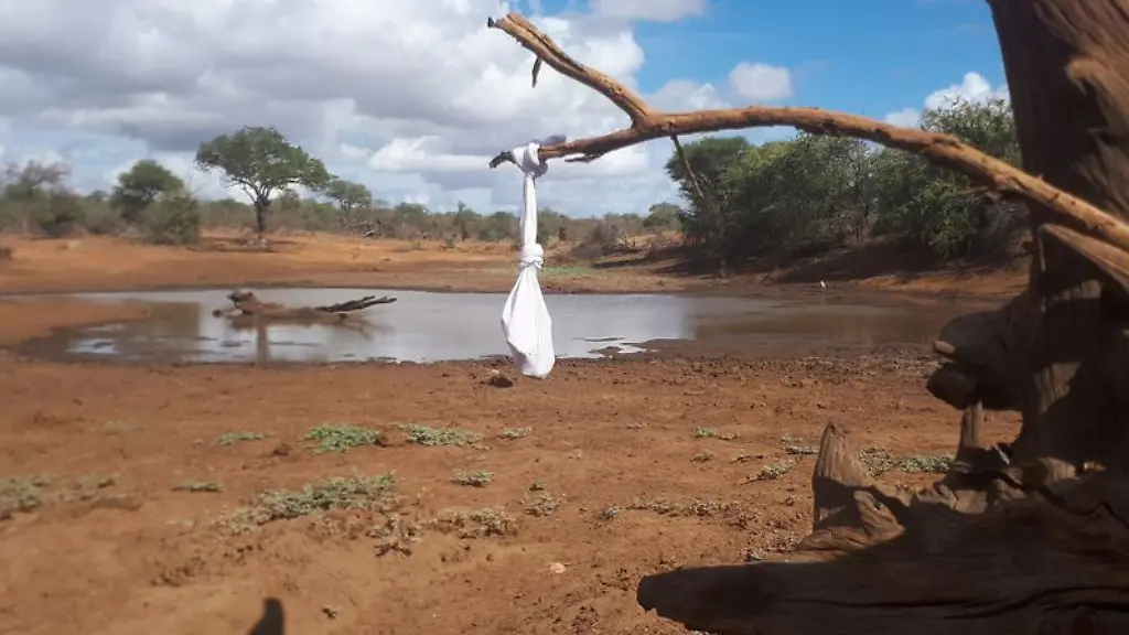 Das-Foto-darf-nur-im-Zusammenhang-mit-der-Studie-veroeffentlicht-werden