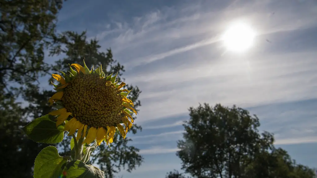 9ced4a297f83cbfee94b041bda0d88e6