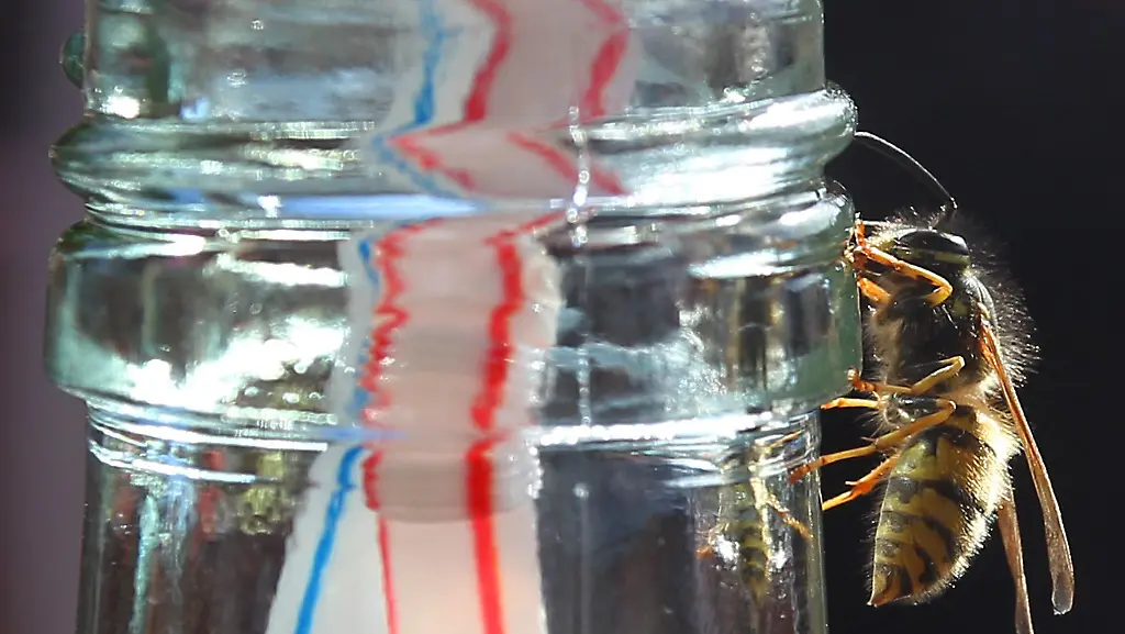 5cd1a76f545cfb36713283b6557fa44b