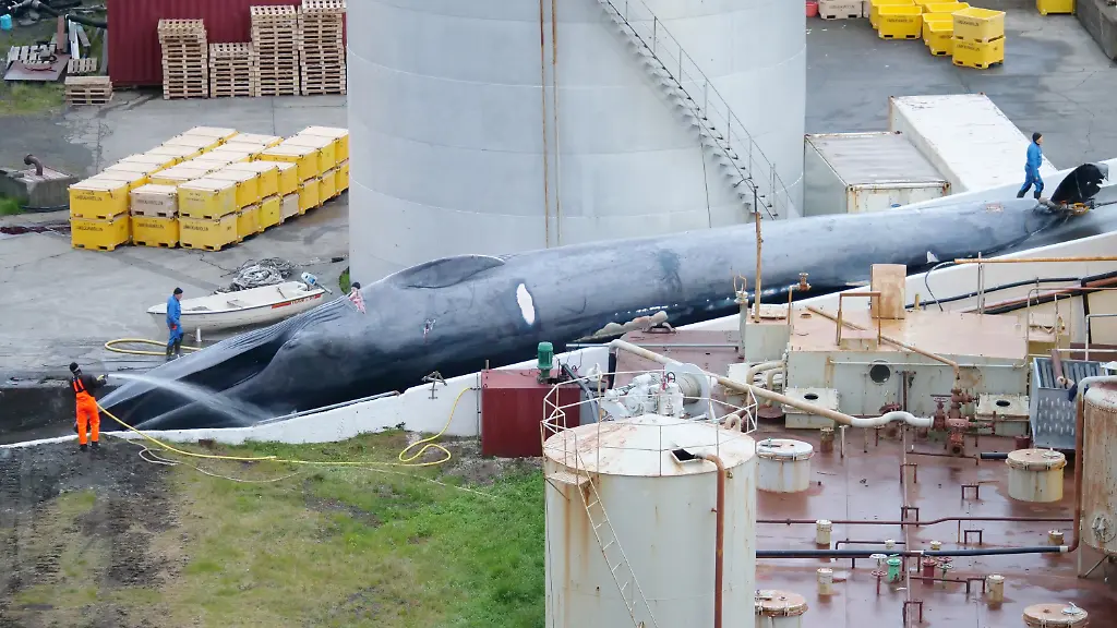 255ebb7851e37b160112a1d9427f3dd5