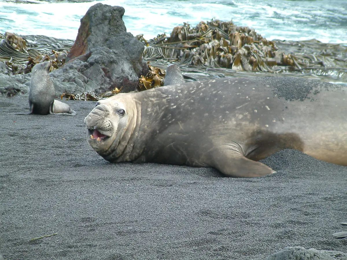 urn-binary-dpa-com-20090101-180713-99-139103-FILED