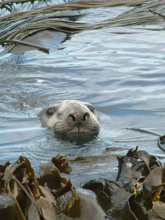 urn-binary-dpa-com-20090101-180713-99-139133-FILED