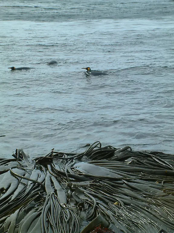 urn-binary-dpa-com-20090101-180713-99-139256-FILED-1