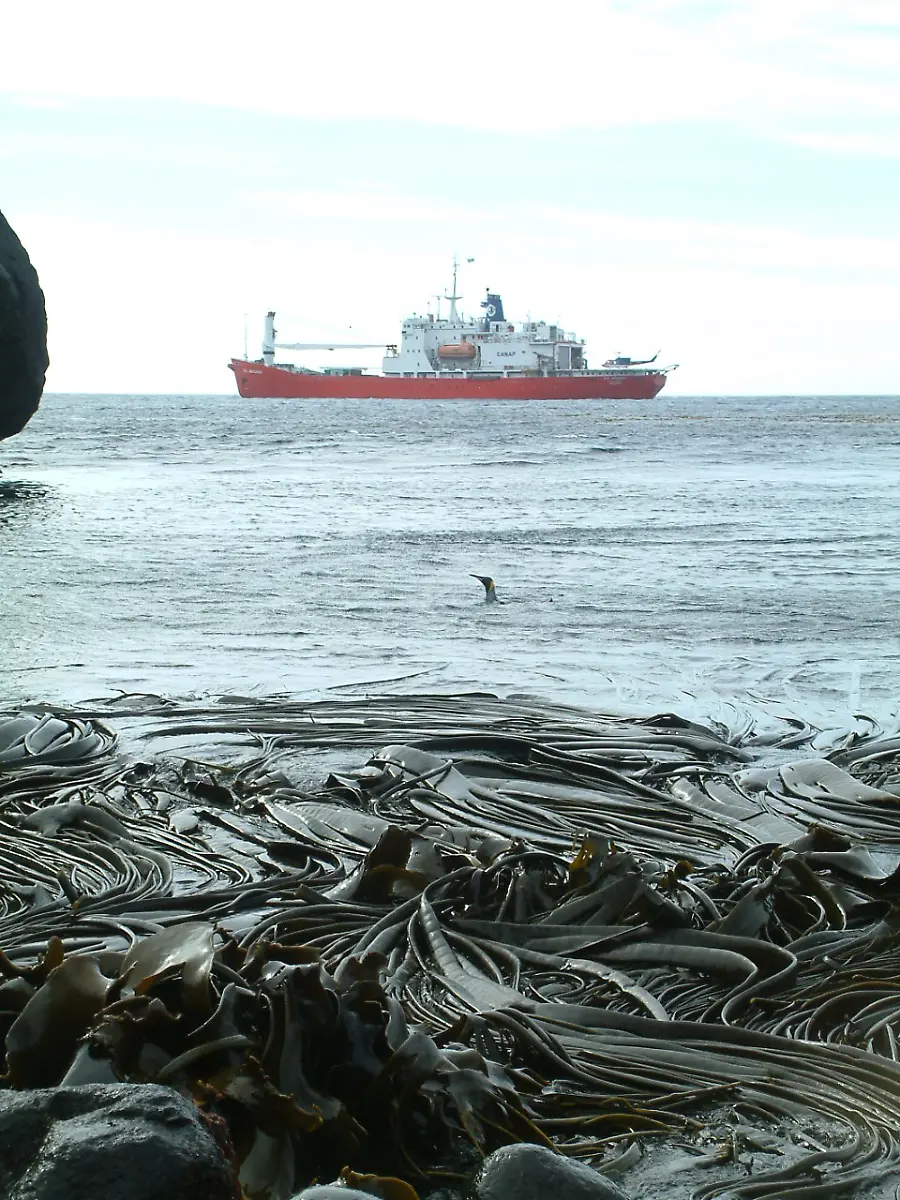 urn-binary-dpa-com-20090101-180713-99-139275-FILED