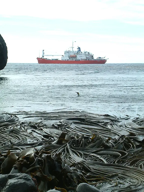 urn-binary-dpa-com-20090101-180713-99-139275-FILED