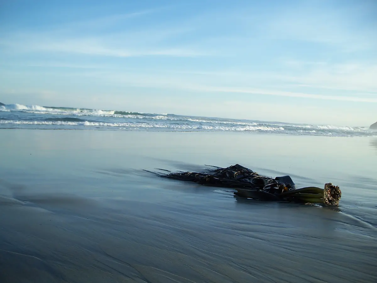 urn-binary-dpa-com-20090101-180713-99-139430-FILED