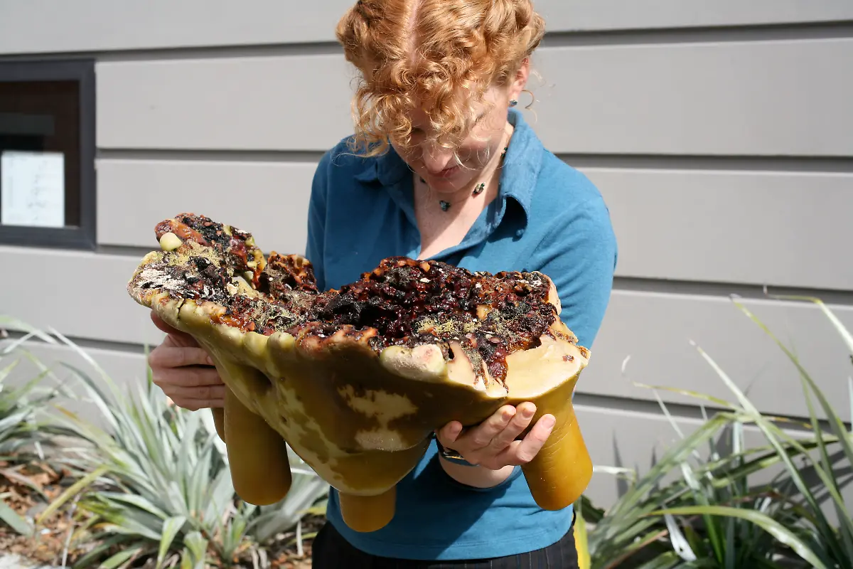 urn-binary-dpa-com-20090101-180713-99-139028-FILED