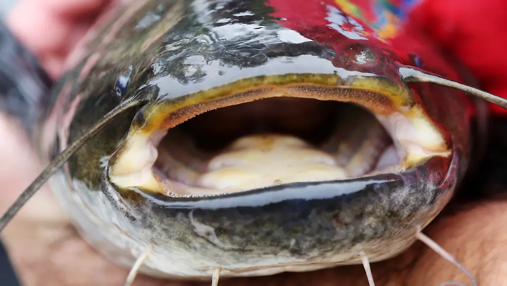 d7af10c43908e84624159d07a60b22aa