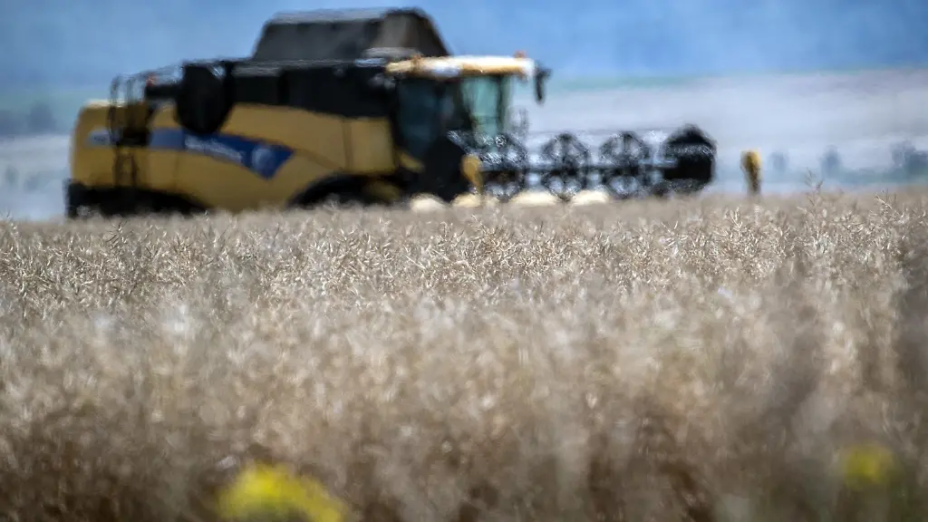 7c3f6d3364f1d5444319b12fcf7d74f2