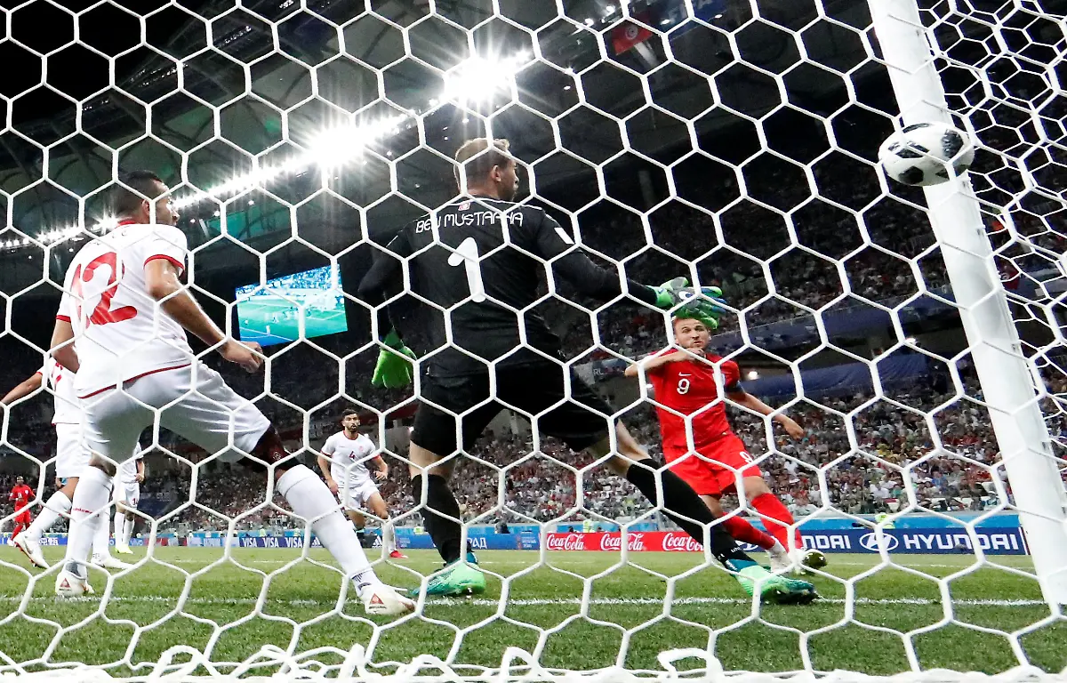 8d3b74f04241be29ddbd7c695d846d65