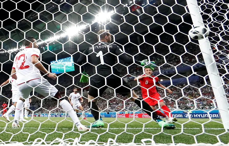 8d3b74f04241be29ddbd7c695d846d65