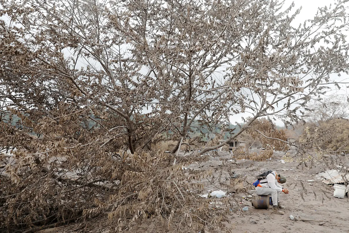 9068e445842bb191576fd8d89df9c729