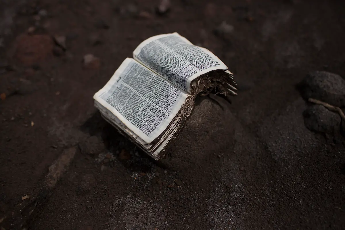 d2e6a86e468cce84fc3b6a2a45a6828c