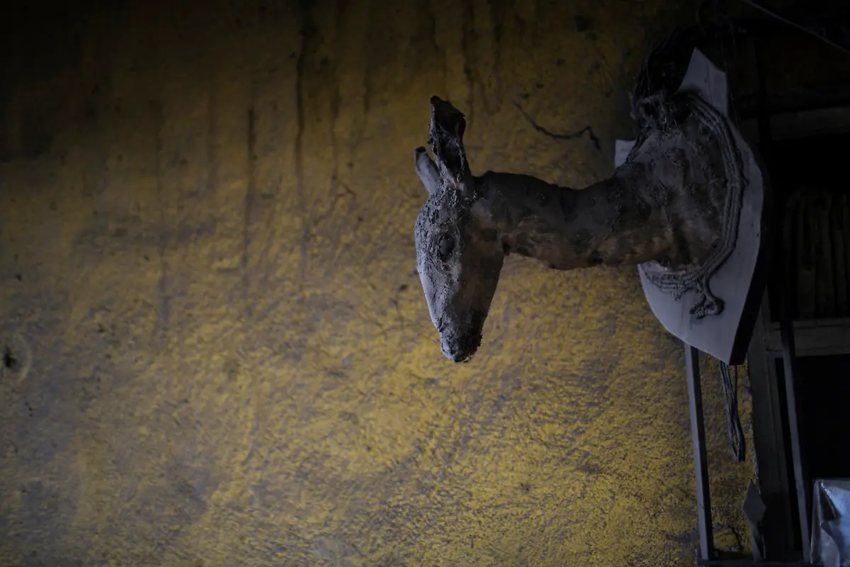 7cb87e2f57b1c1f375faff3382bb3f2c