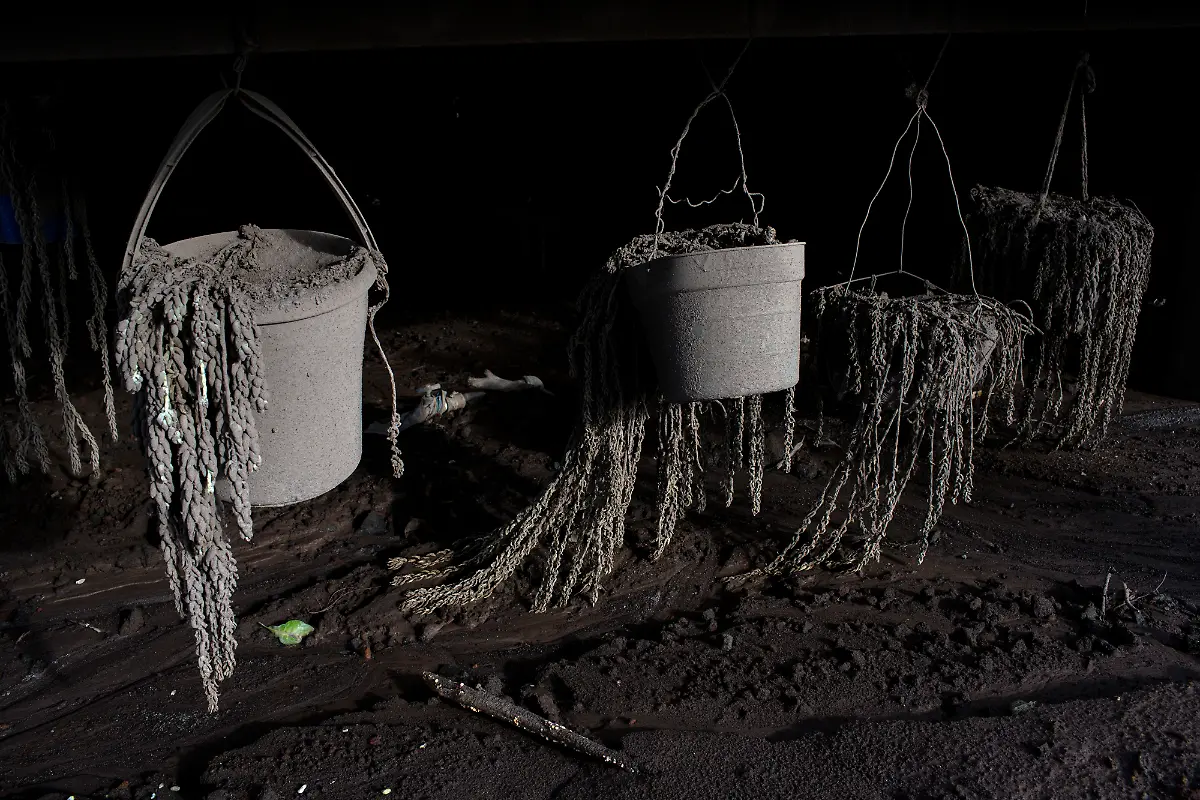 55ddcc32c9da384810be4294f99e0e16