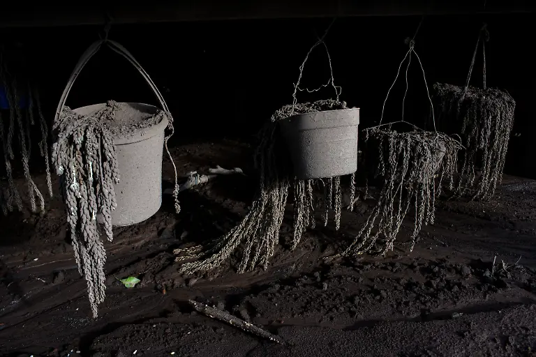 55ddcc32c9da384810be4294f99e0e16