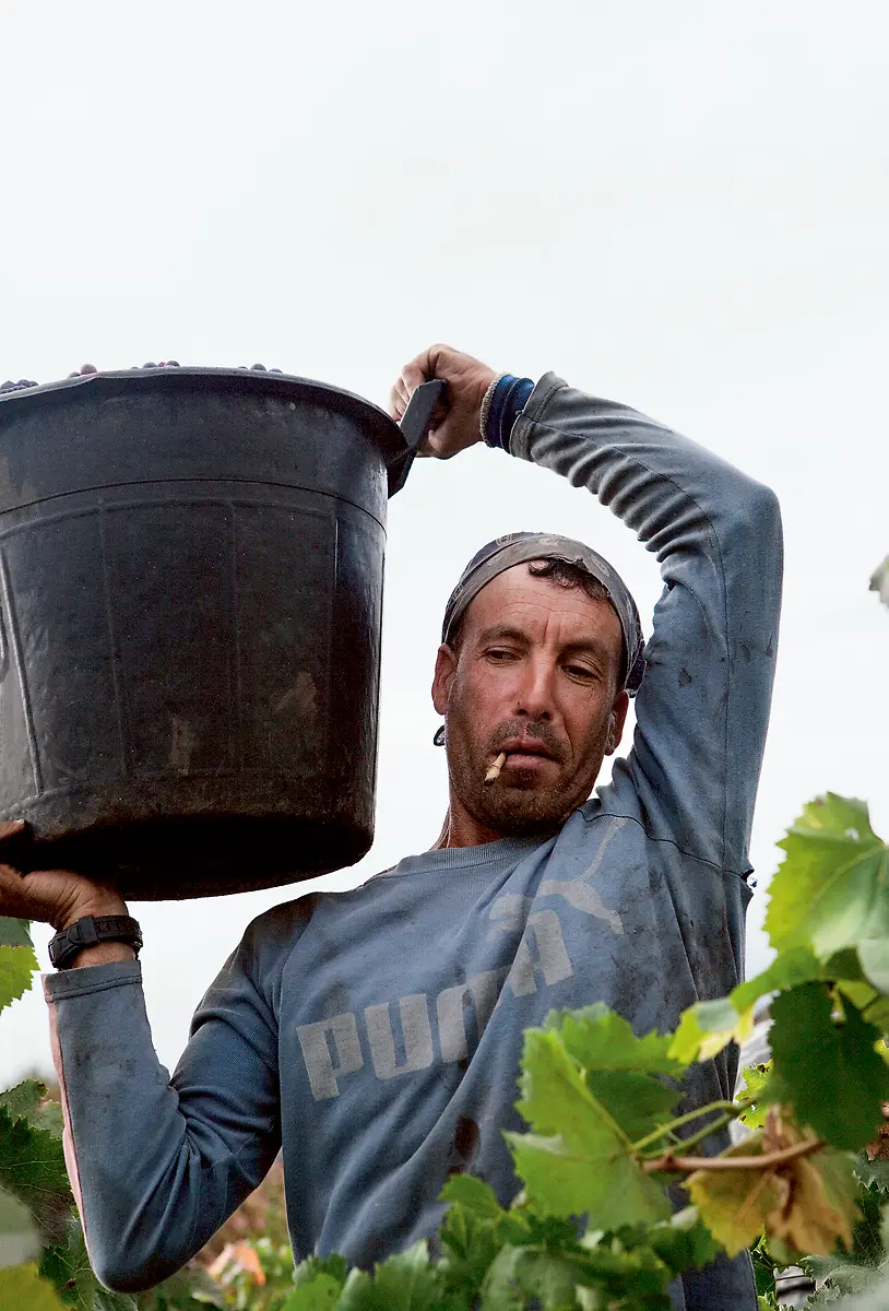 32-5396-caffe-italia-il-numero-due-ph-johanna-ekmark